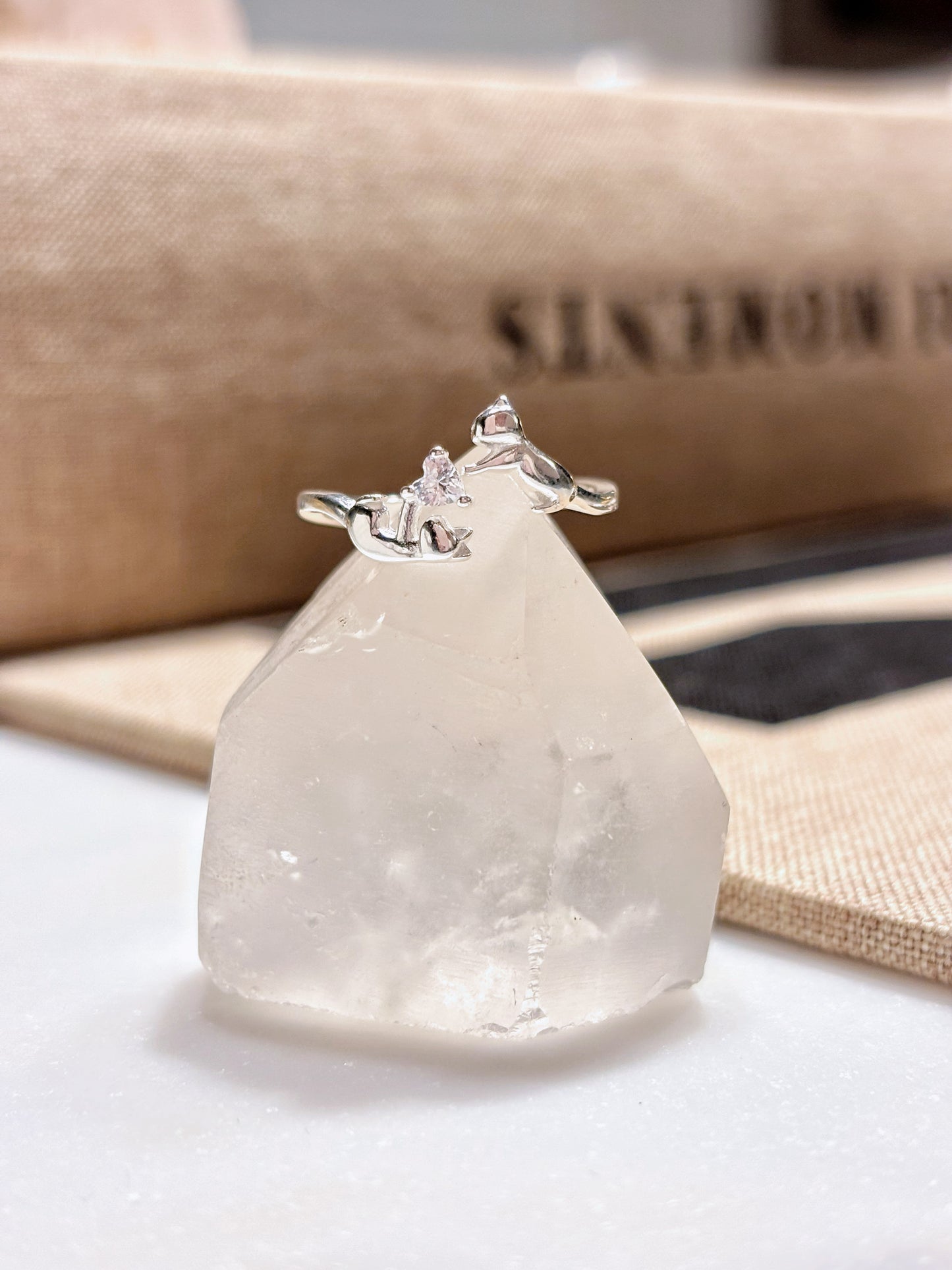 Anillo gatitos circón