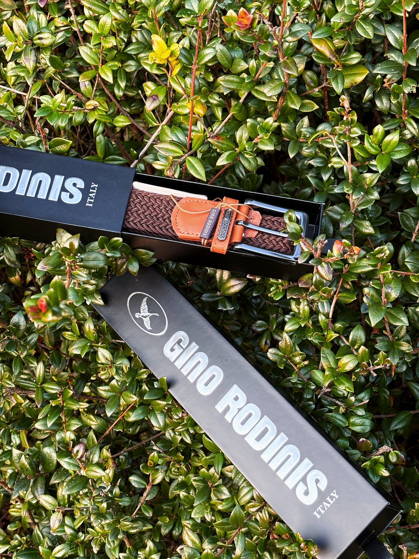 Cinturón Elasticado Negro