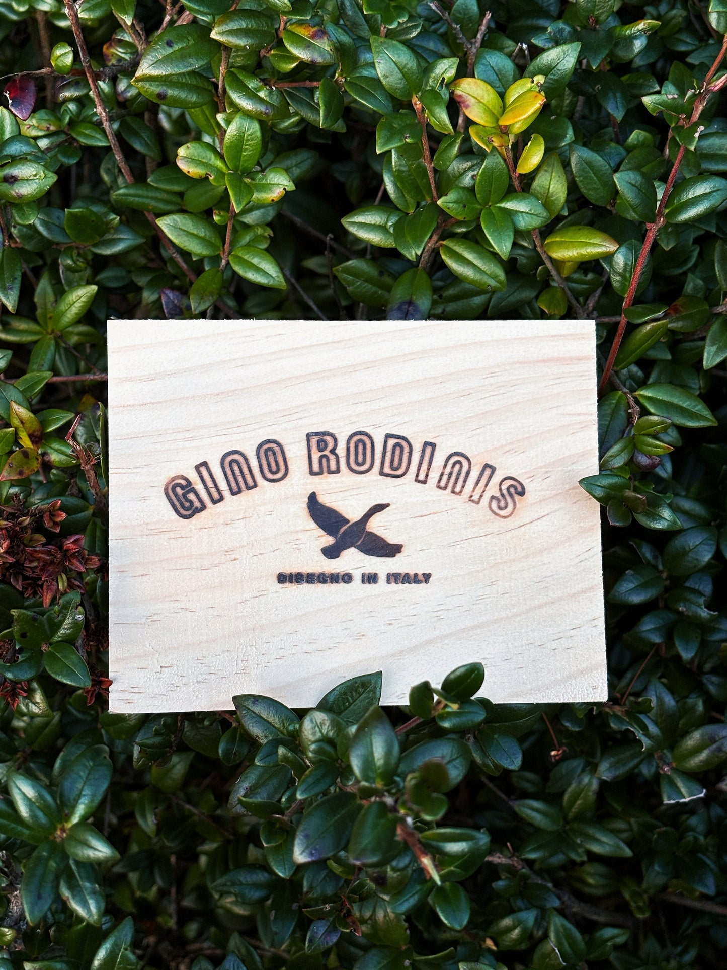 Billetera Coco verde