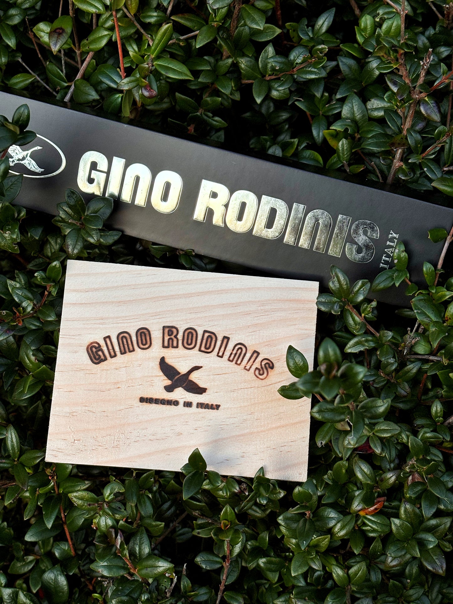 Cinturón Elasticado Negro