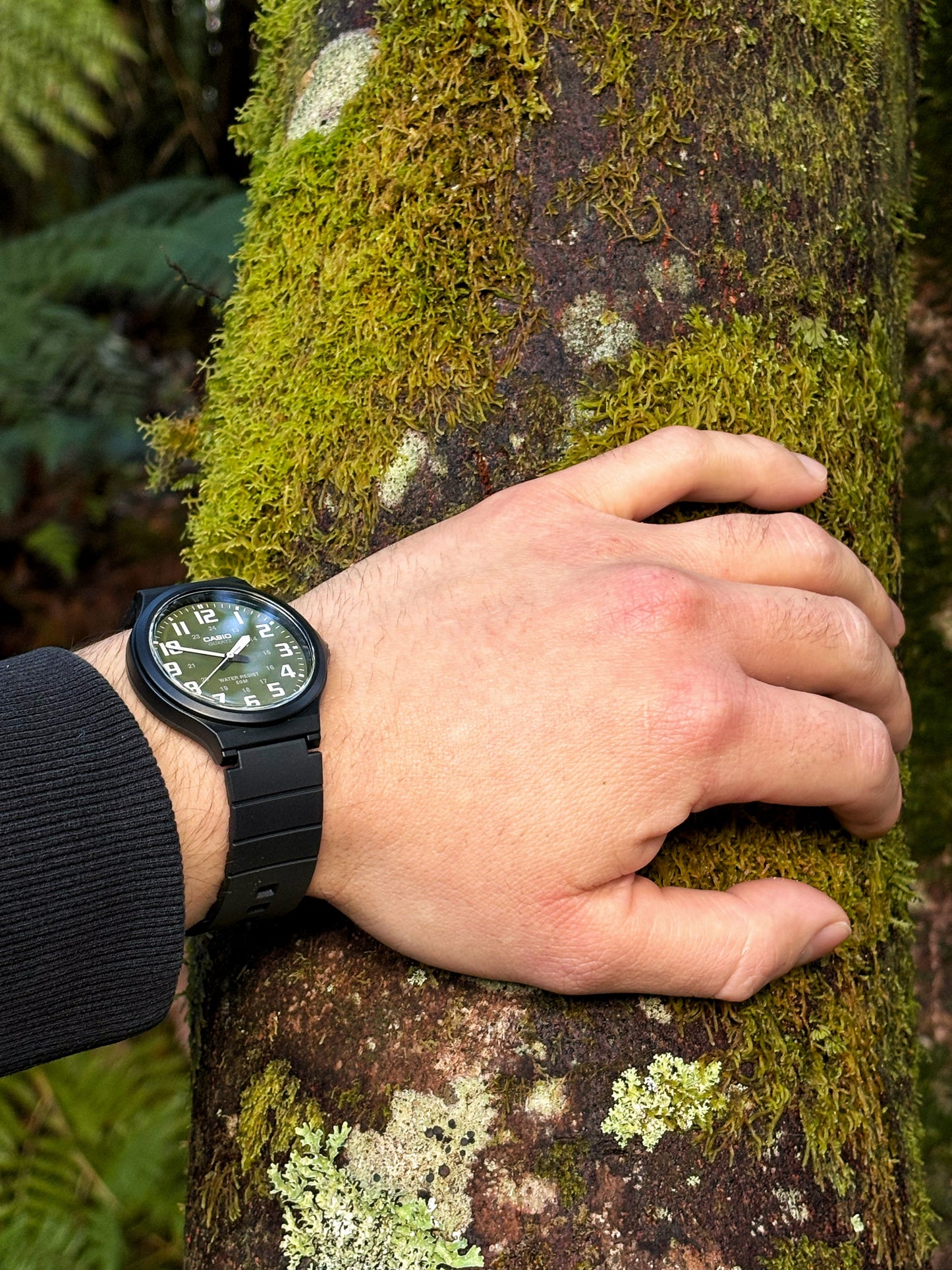 Reloj CASIO Modelo: MW-240-3BV.