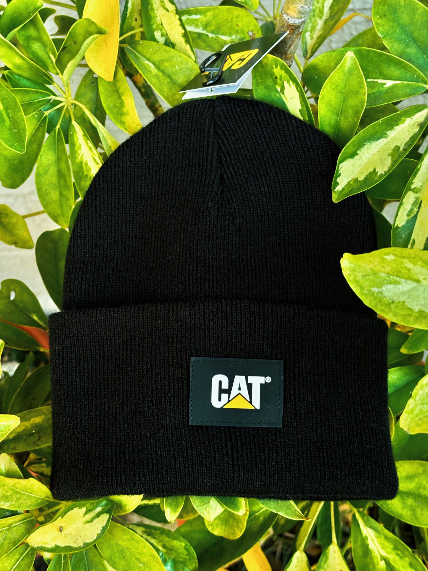 Gorro Label Cuff Beanie Cat