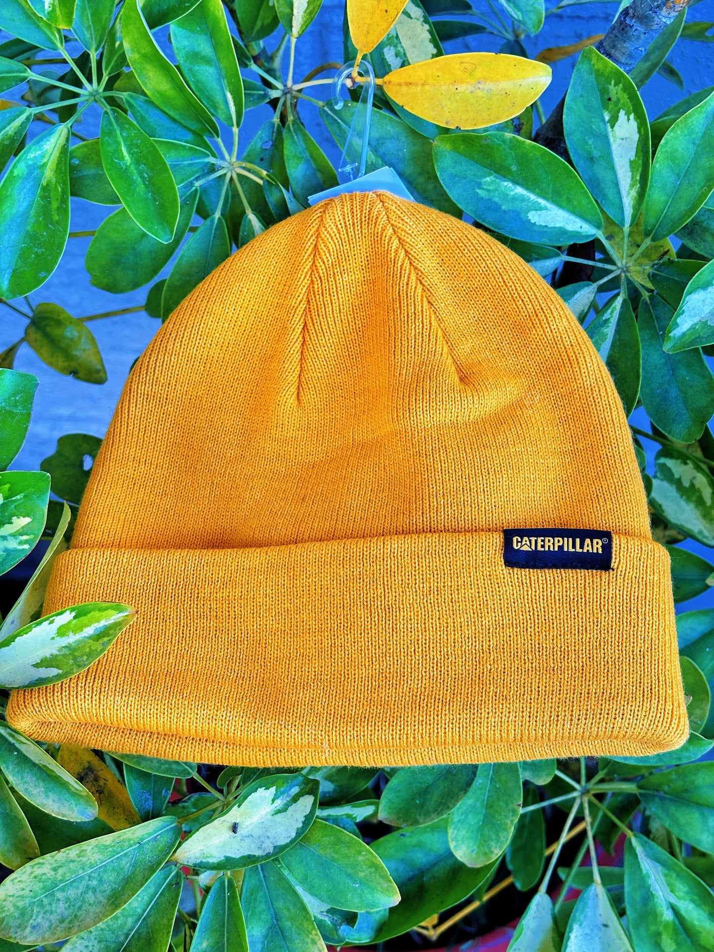 Gorro Hombre Foundation Knit Amarillo Cat