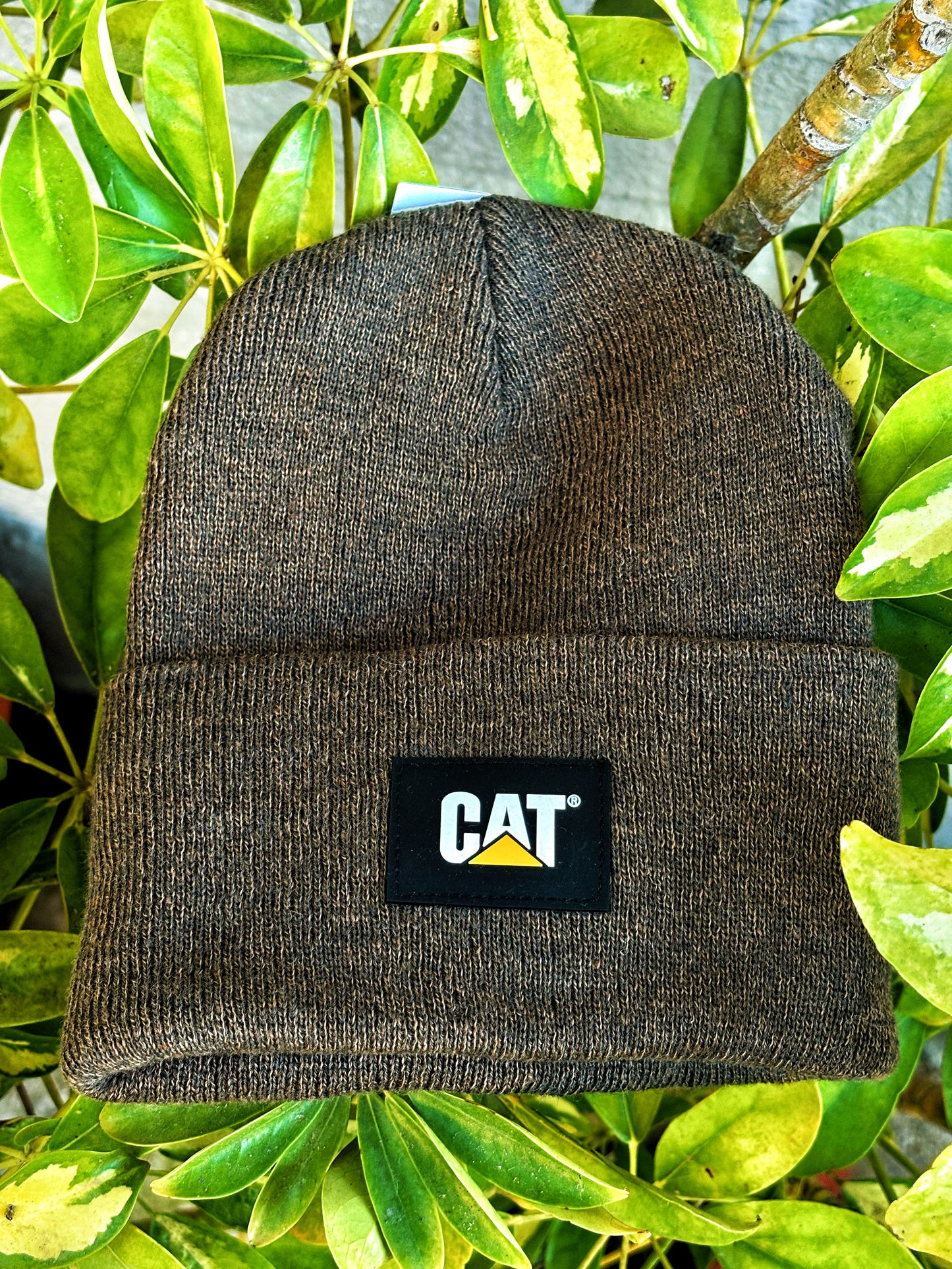 Gorro Casual Unisex Cat Label Cuff Beanie Café Cat