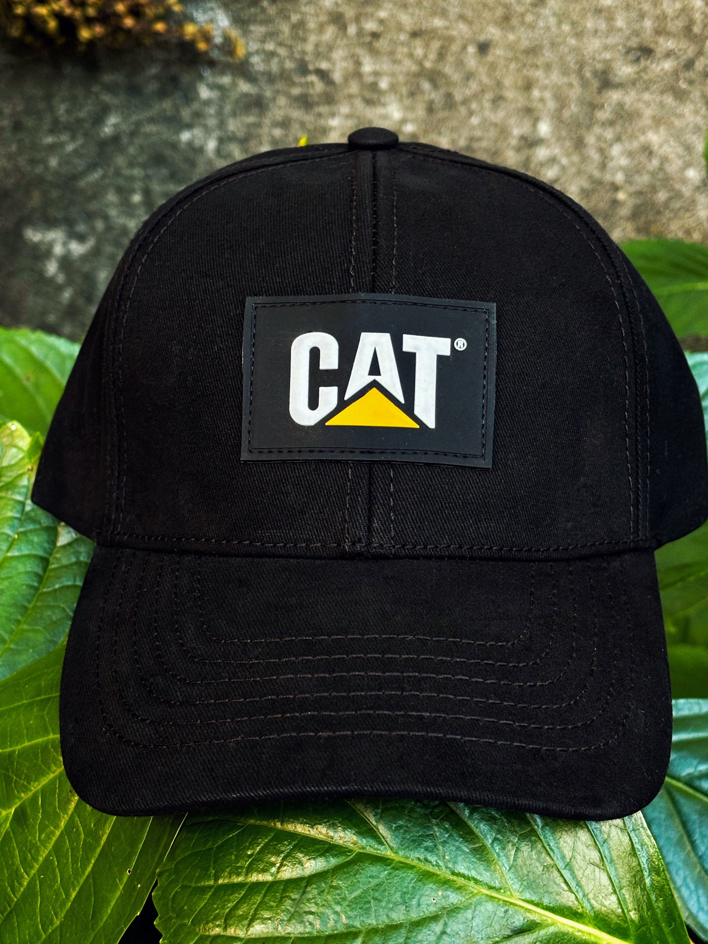 Jockey Cat Patch