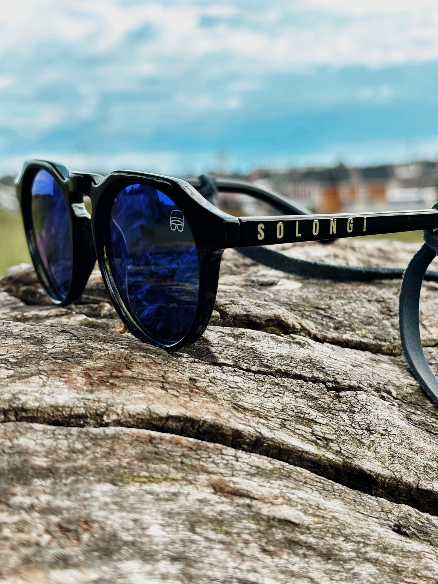 Gafas modelo SMASH PUNK