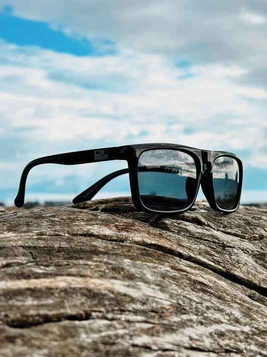 Gafas modelo PANTHER