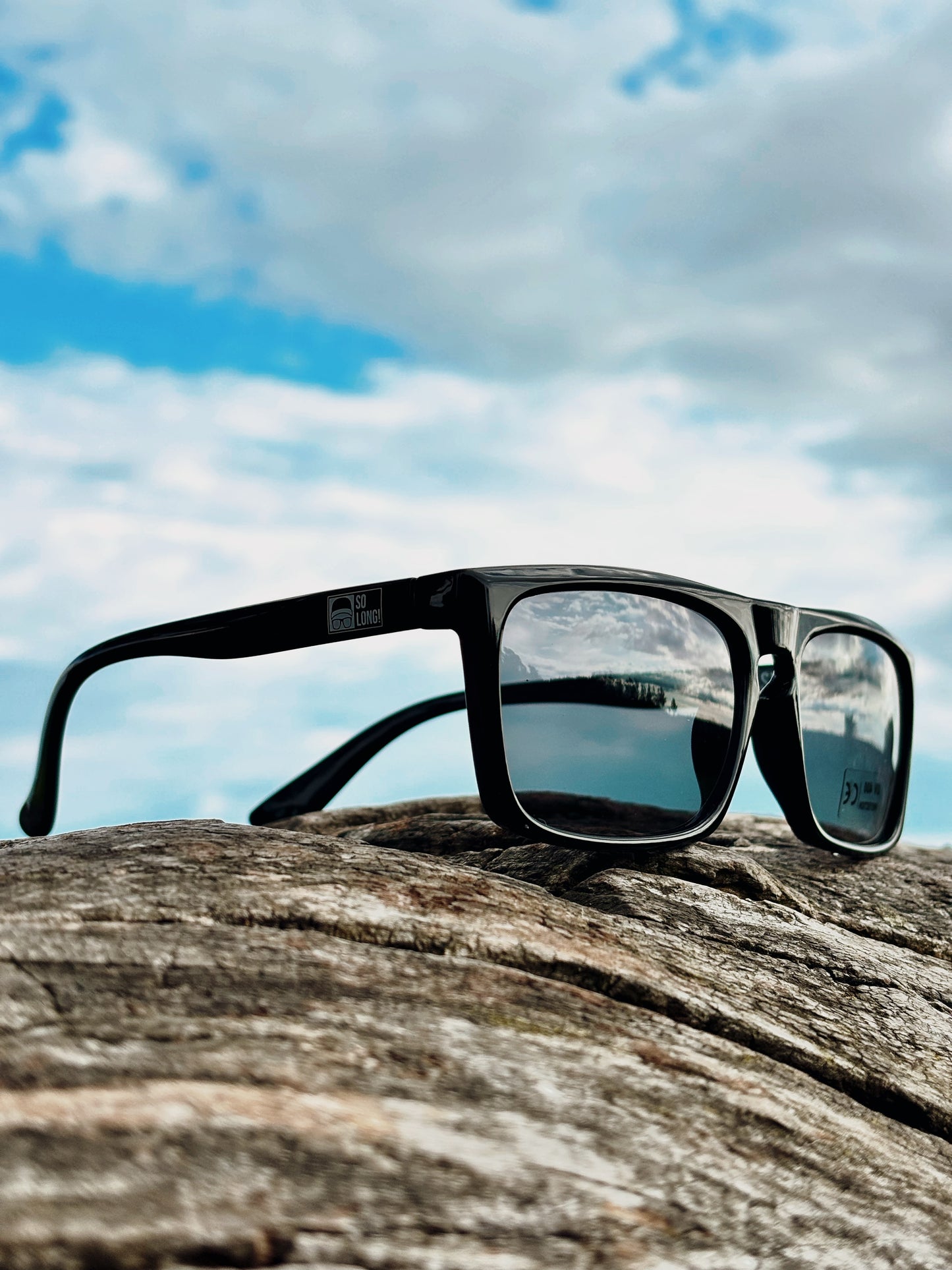 Gafas modelo PANTHER