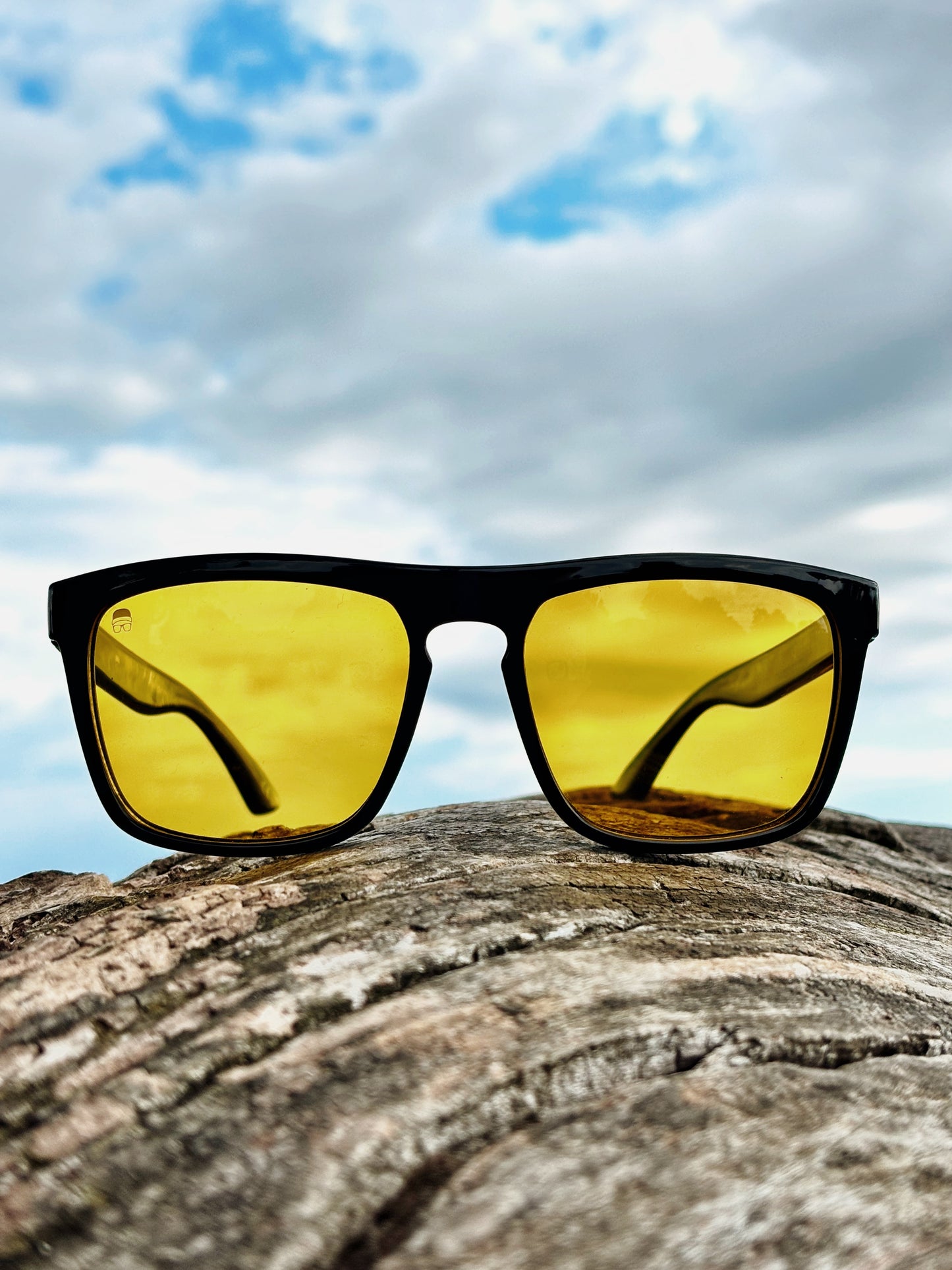 Gafas  modelo BAKER DRIVE