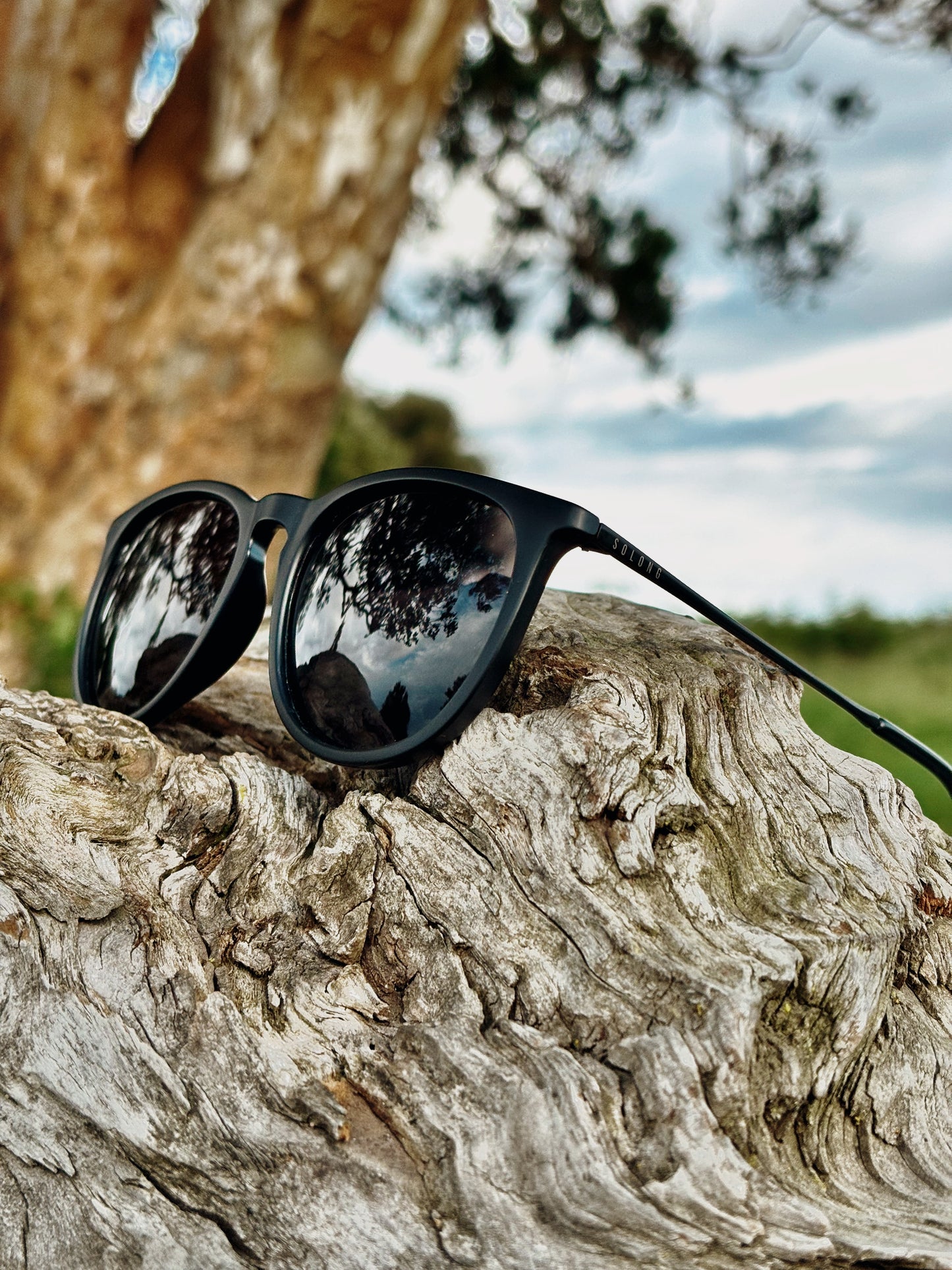 Gafas modelo ATTICUS