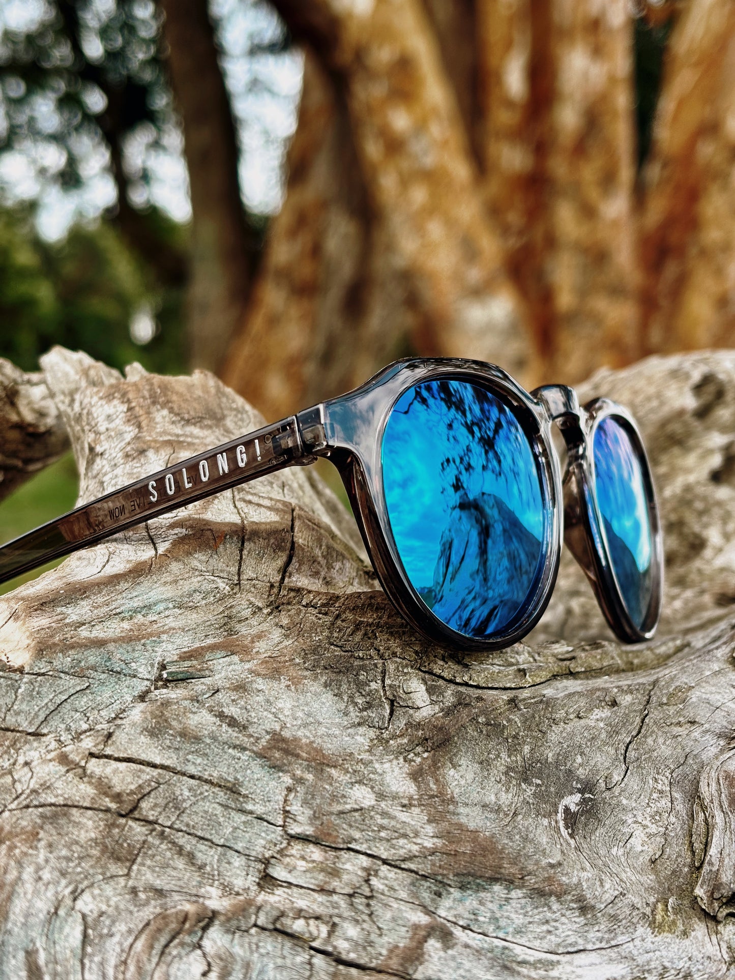 Gafas modelo SMASH CURVO