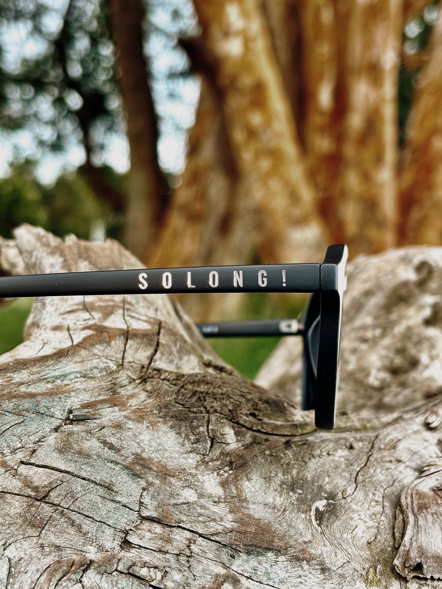 Gafas modelo SMASH NEBULA