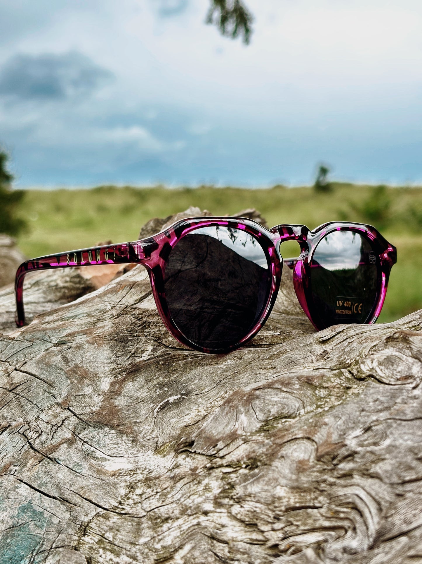 Gafas modelo SMASH AGASSI