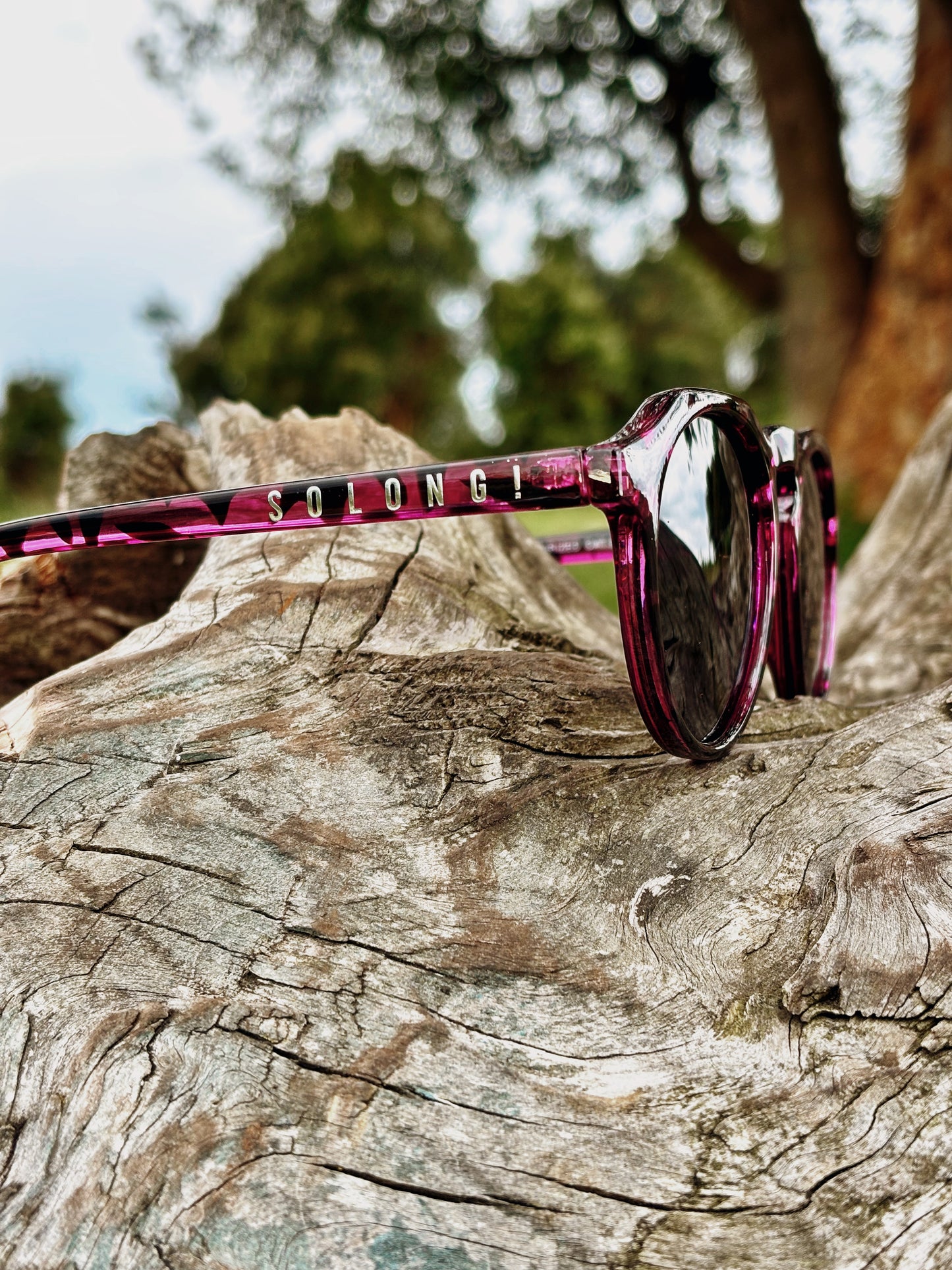 Gafas modelo SMASH AGASSI