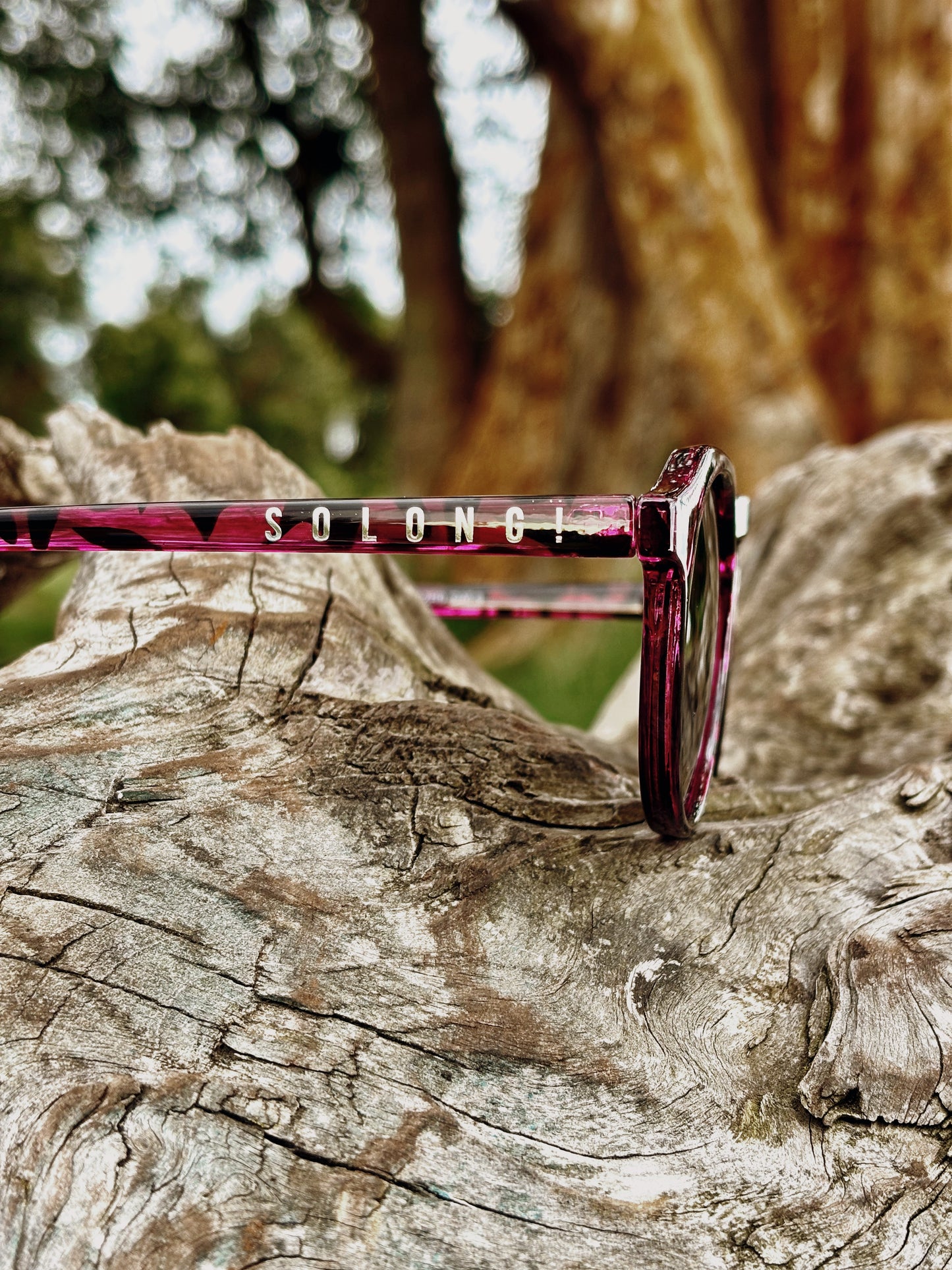 Gafas modelo SMASH AGASSI