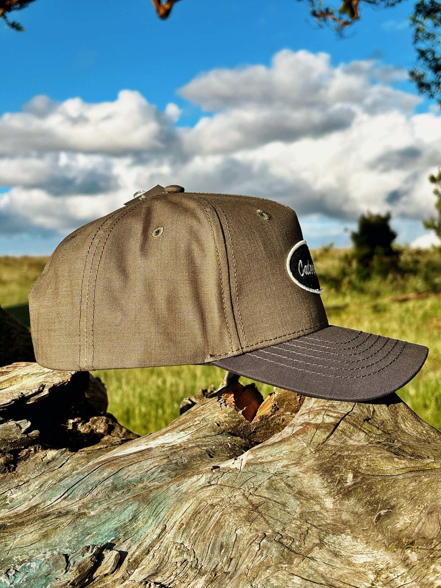 Jockey Unisex Oliva CAT